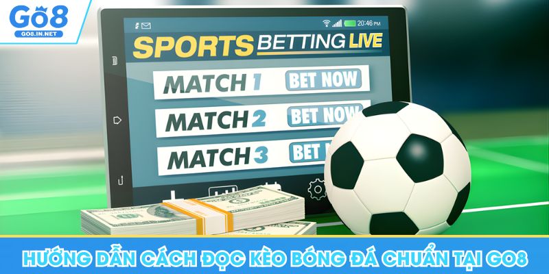 Hướng Dẫn Cách Đọc Kèo Bóng Đá Chuẩn Khi Đặt Cược Tại Go8 4 cách đọc kèo bóng đá